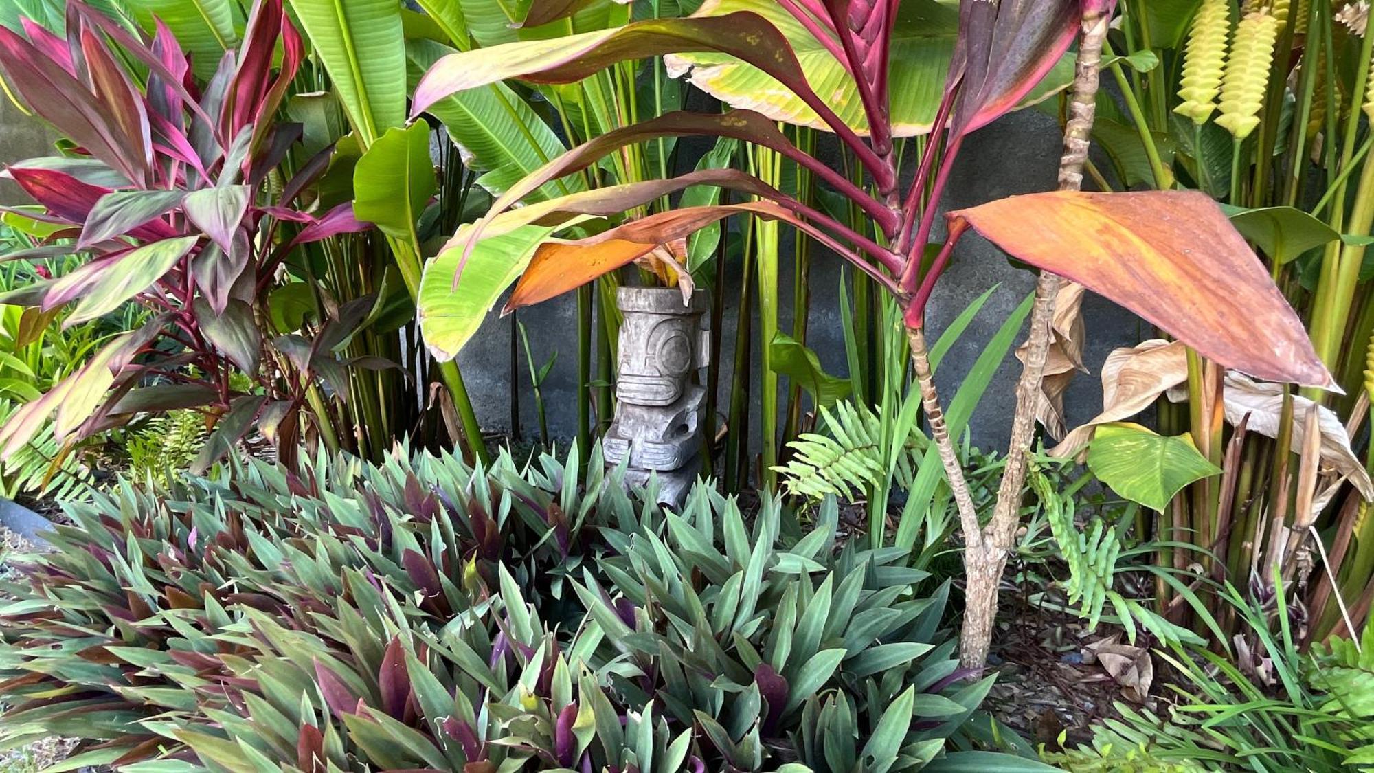 Ononui Lodge Airport, Ocean-View, Private Bathroom And Balcony, Free Wifi And Parking, On-Site Car Rental Faaa Eksteriør billede