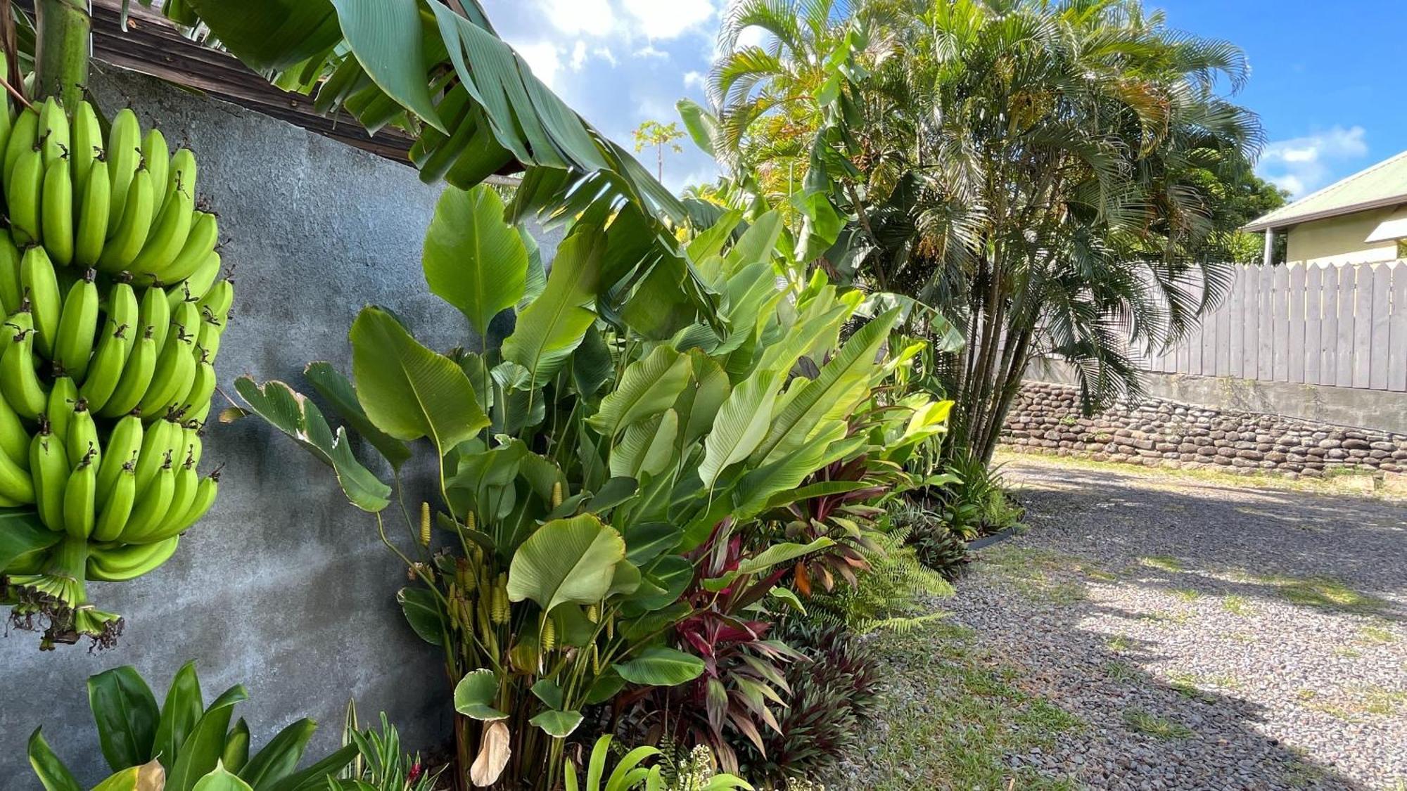 Ononui Lodge Airport, Ocean-View, Private Bathroom And Balcony, Free Wifi And Parking, On-Site Car Rental Faaa Eksteriør billede